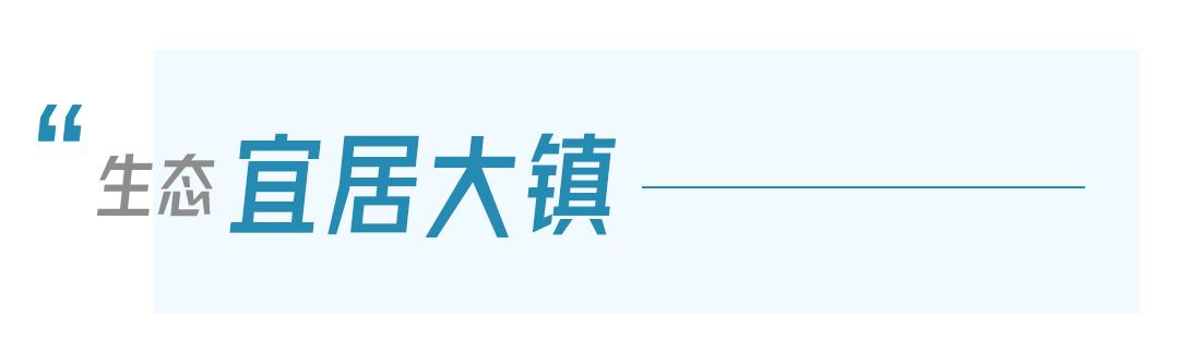鄂州泽林镇新闻,鄂州泽林镇最新规划