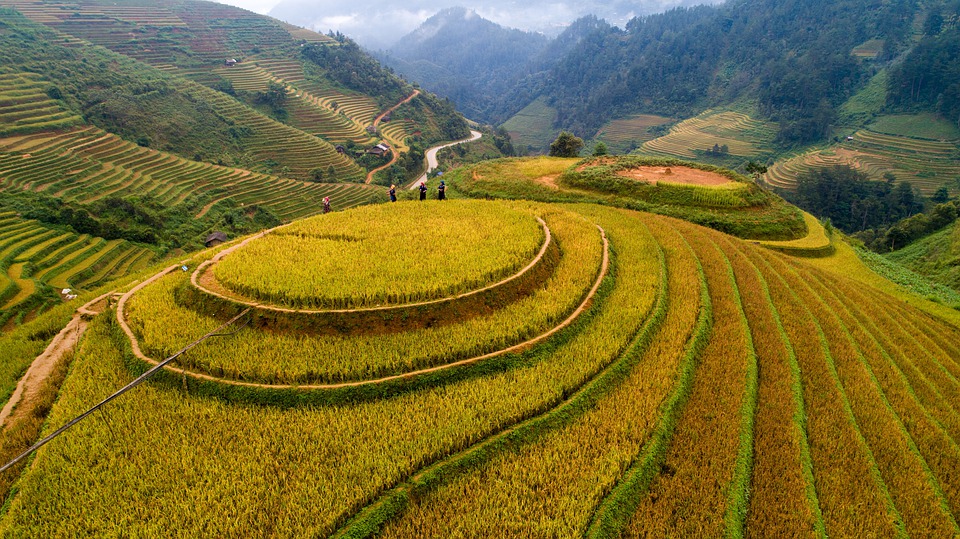 酒店为什么需要数字营销 (酒店营销创新思维)