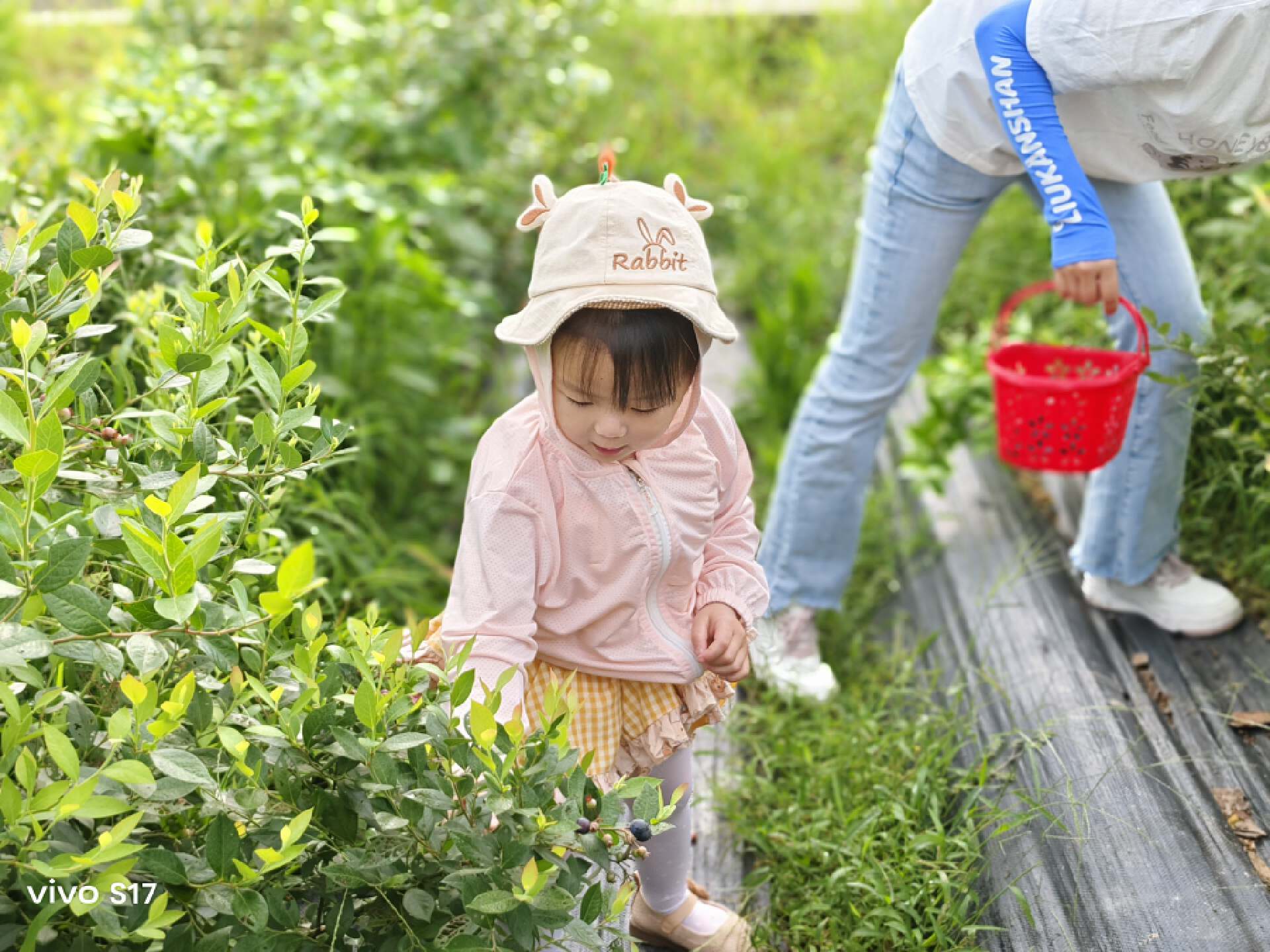 vivos17功能详细介绍,vivoS17系列正式发布