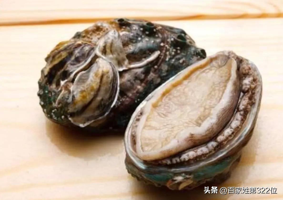 各种鱼名称的由来,各种鱼名的由来