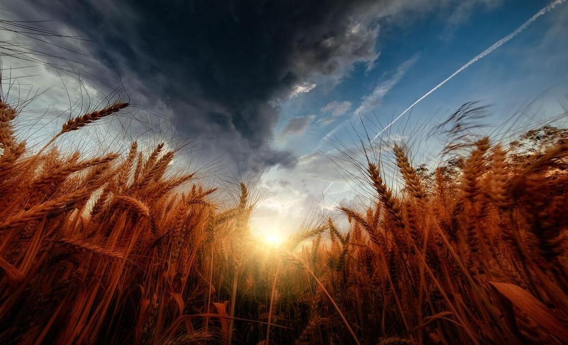 风吹麦浪女声原唱,风吹麦浪原唱完整版歌曲