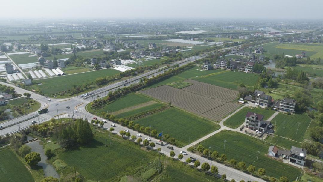 平湖钢材市场旧改,平湖最大的批发市场在哪里