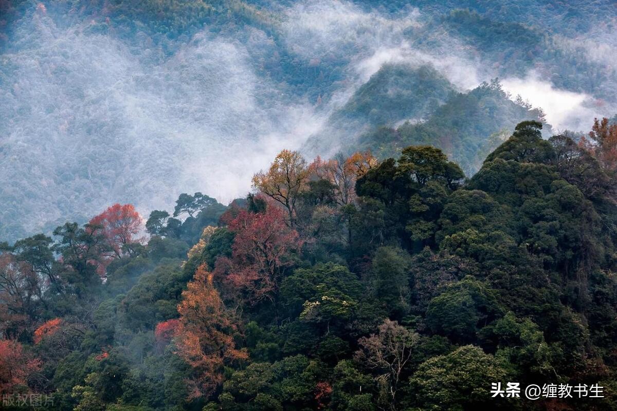 临江仙十六首诗句,原创诗词临江仙咏倒春寒