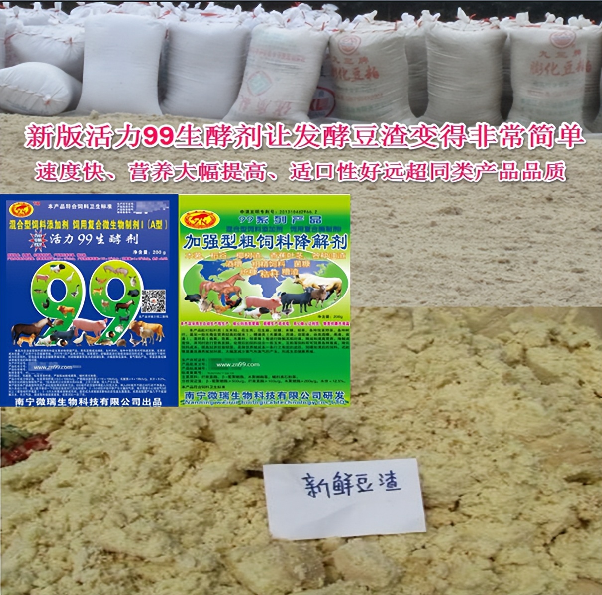 加强型活力99生酵剂—以高浓度乳酸菌，更好用的专业益生菌发酵剂