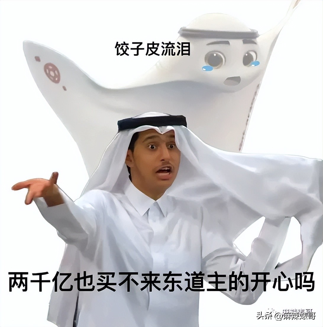 金晨模仿卡塔尔小王子自拍,金晨模仿卡塔尔王子自拍引热议