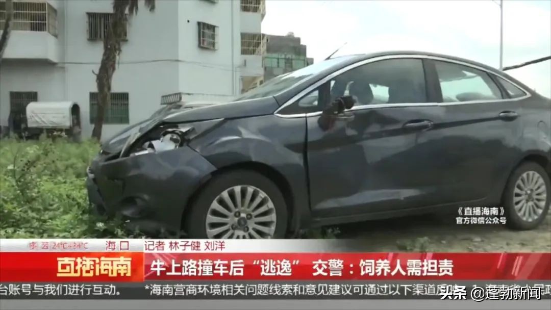 一头牛把人撞了,车把牛撞了谁的责任