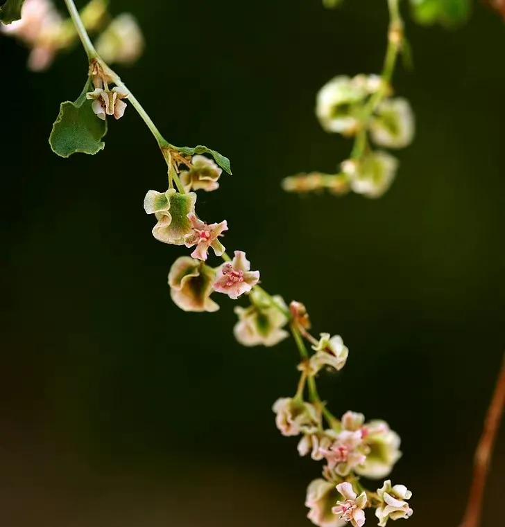 给你全部的温情与热爱,想给你全部的温情和热爱