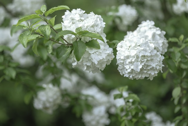 绝美的句子惊艳了时光温柔了岁月,惊艳了时光温柔了岁月璀璨了星河