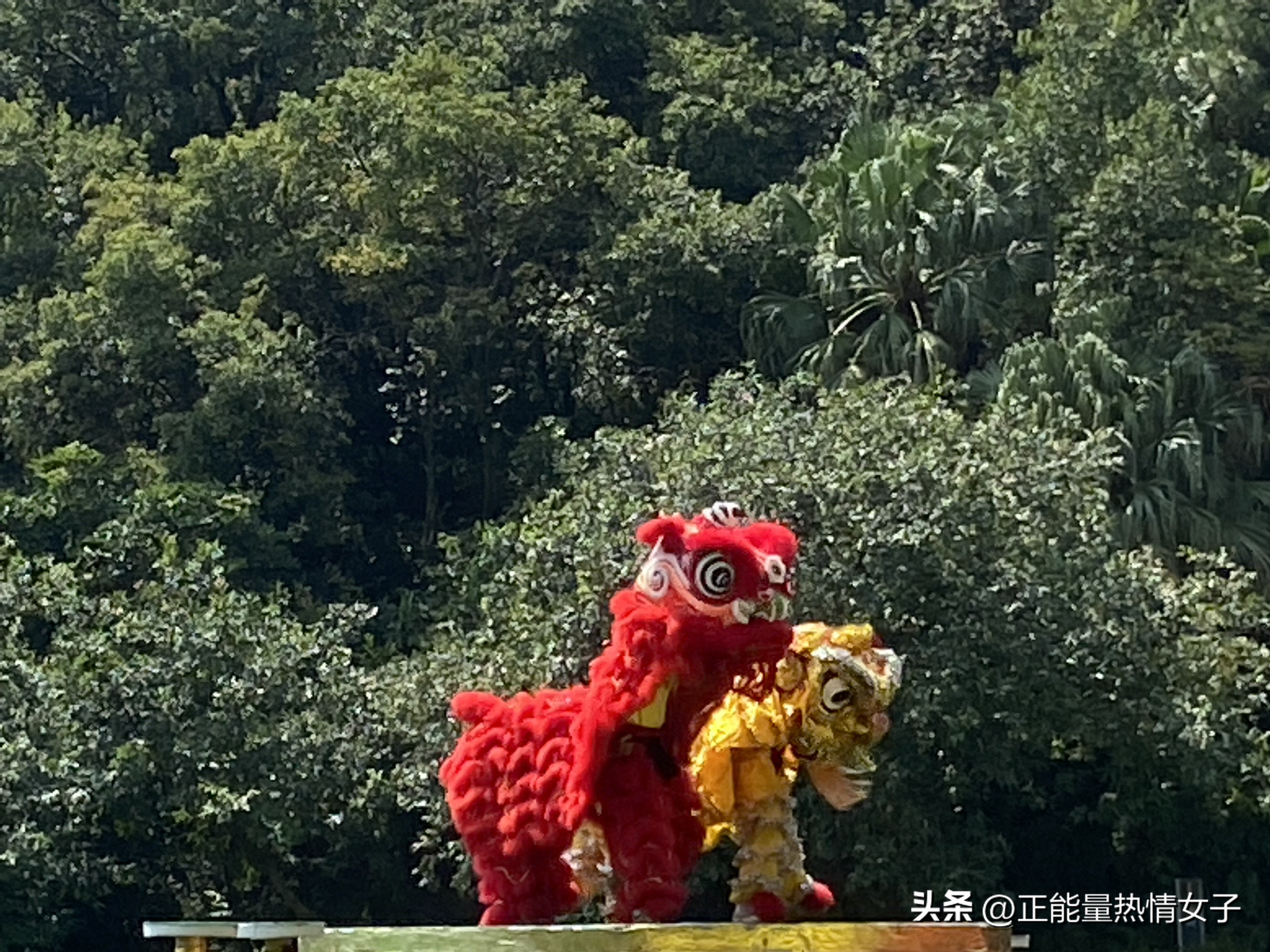 黄飞鸿故乡西樵,祖庙游玩攻略黄飞鸿