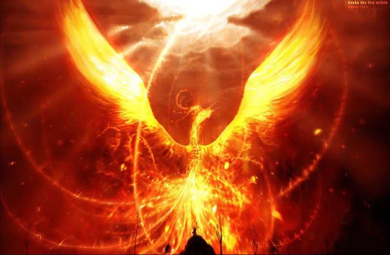 期待凤凰浴火重生,凤凰浴火重生全集