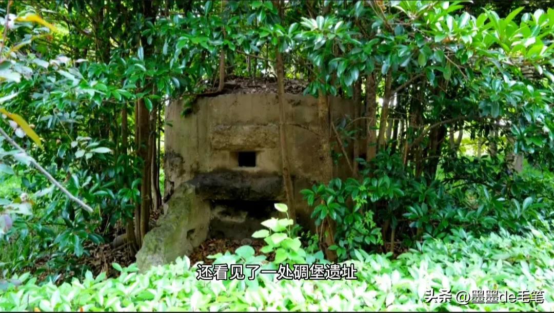 上海南京路网红打卡景点,上海景点网红街免费打卡圣地