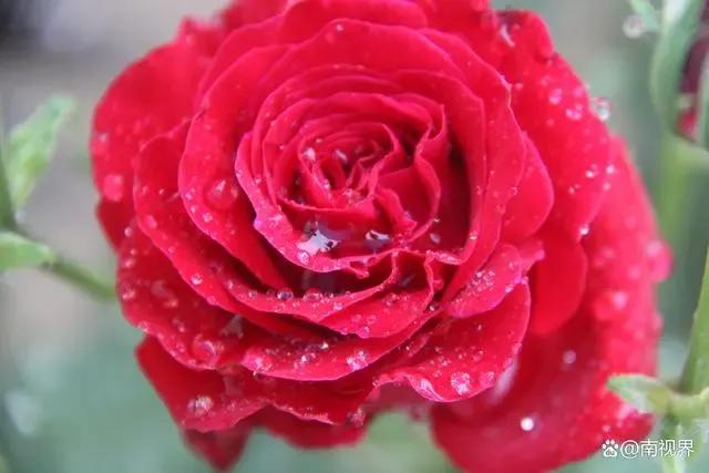 圣母丈夫掏4199块第一次送我生日礼物！我乐极生悲，疑似糖尿病！