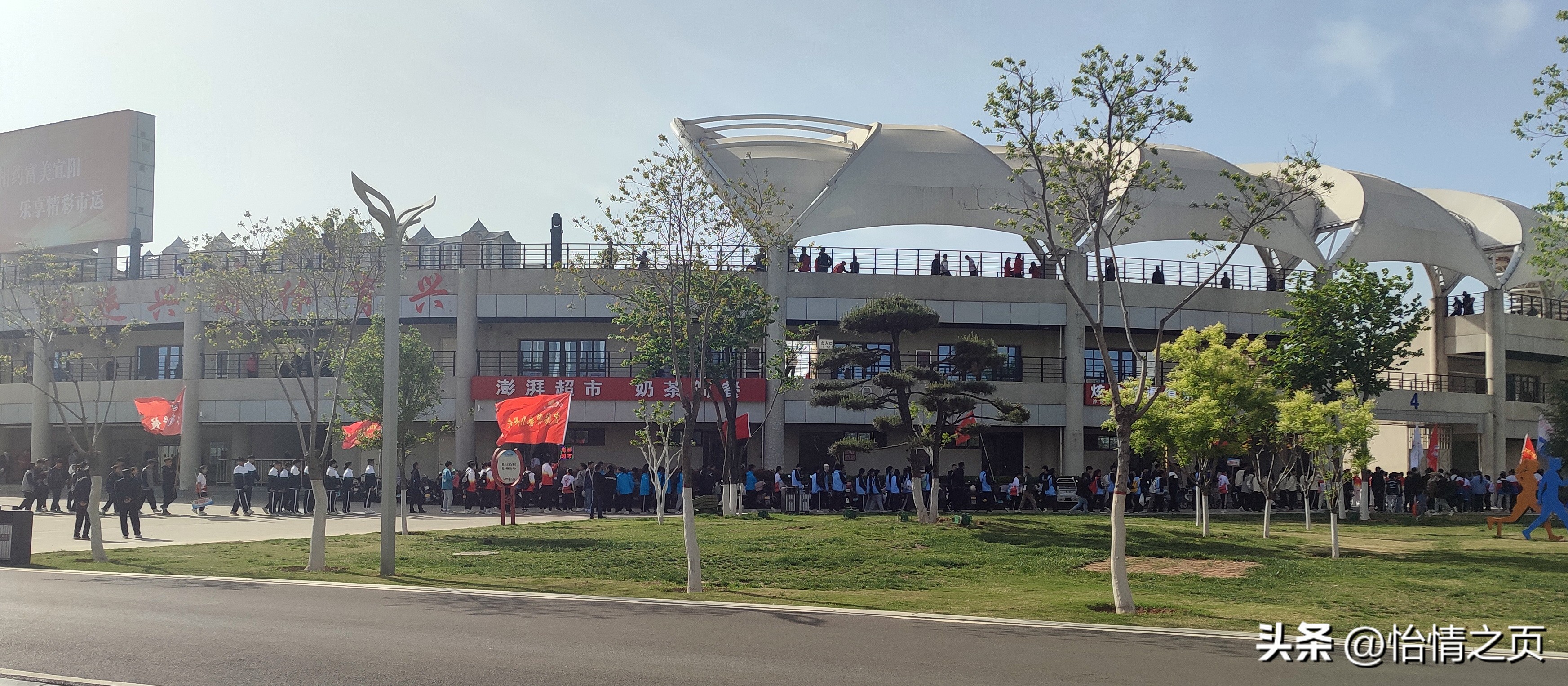 河南省田径锦标赛宜阳,宜阳县体育场田径运动会