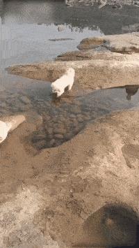 朋友圈高质量装x的图片,朋友圈装x图片