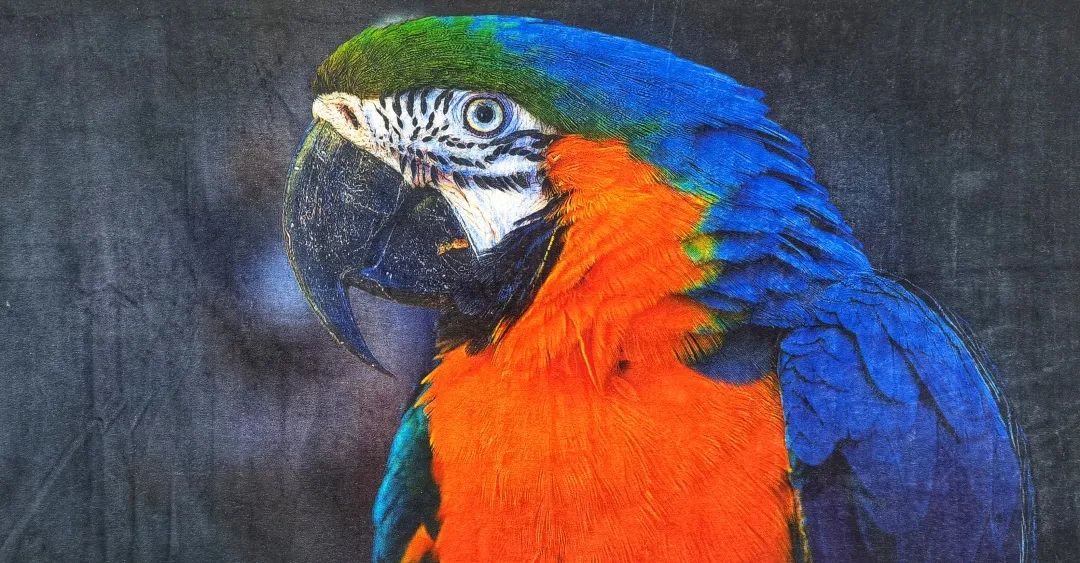 毛巾印花技术,毛巾绒印花工艺