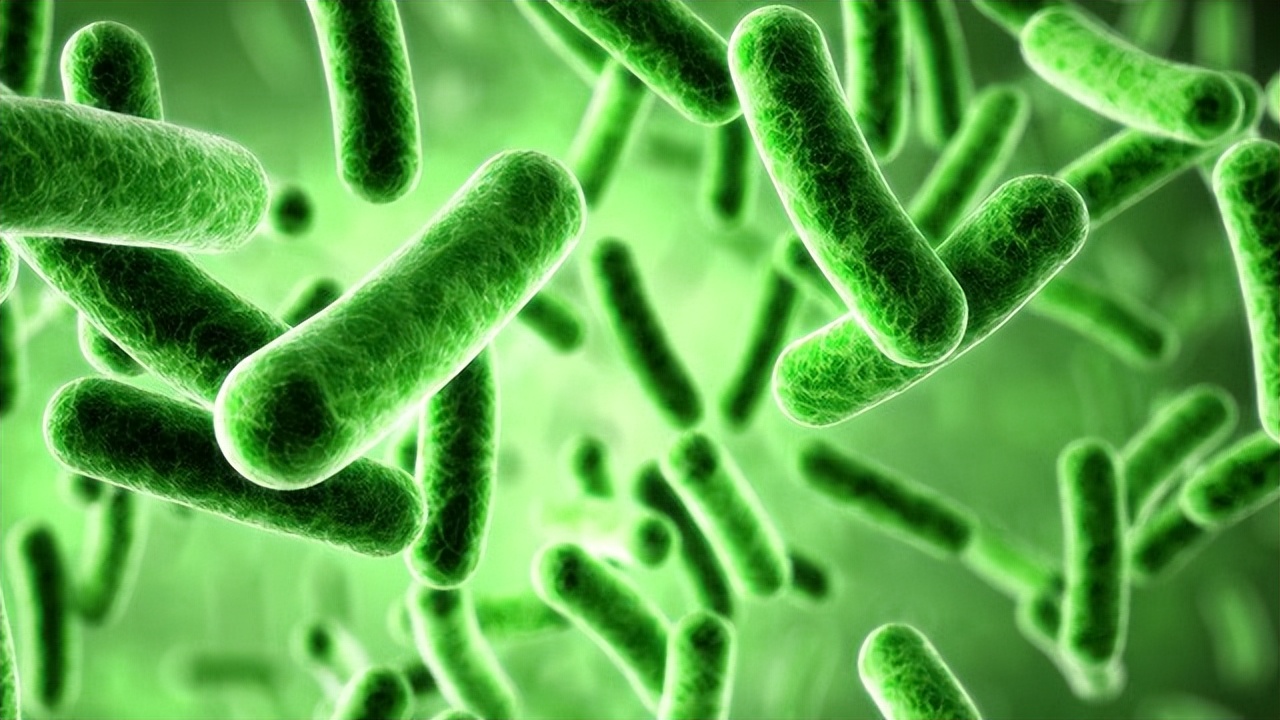 男子阴处局部痒怎么回事,医生检查阴虱的镊子和刀片