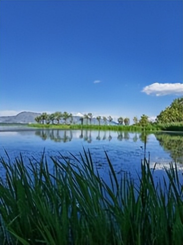 成都香格里拉十日游,昆明大理丽江香格里拉六日游报价