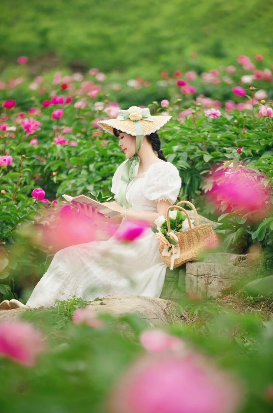 成都芍药花海景区,成都市内芍药花海