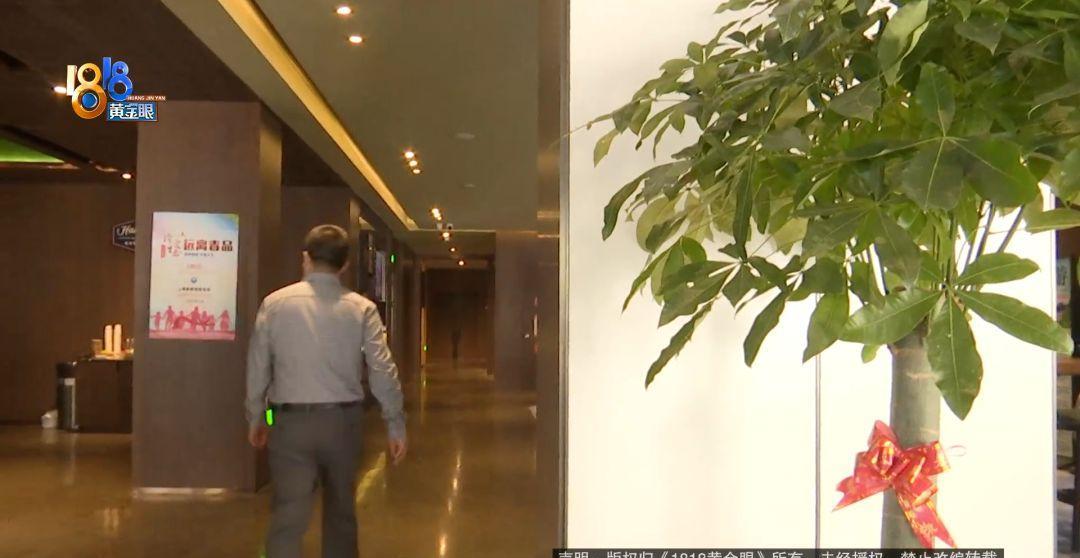 十日谈的感悟,第一次住希尔顿的感受