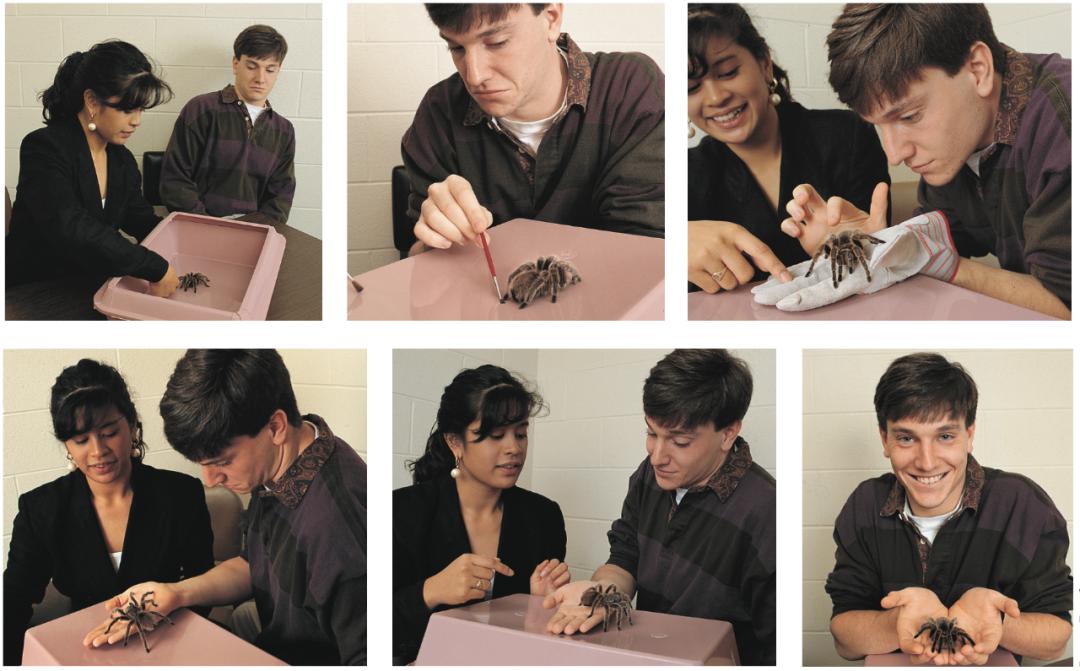 幽闭恐惧症与特定恐惧症,恐惧症的预防和矫正