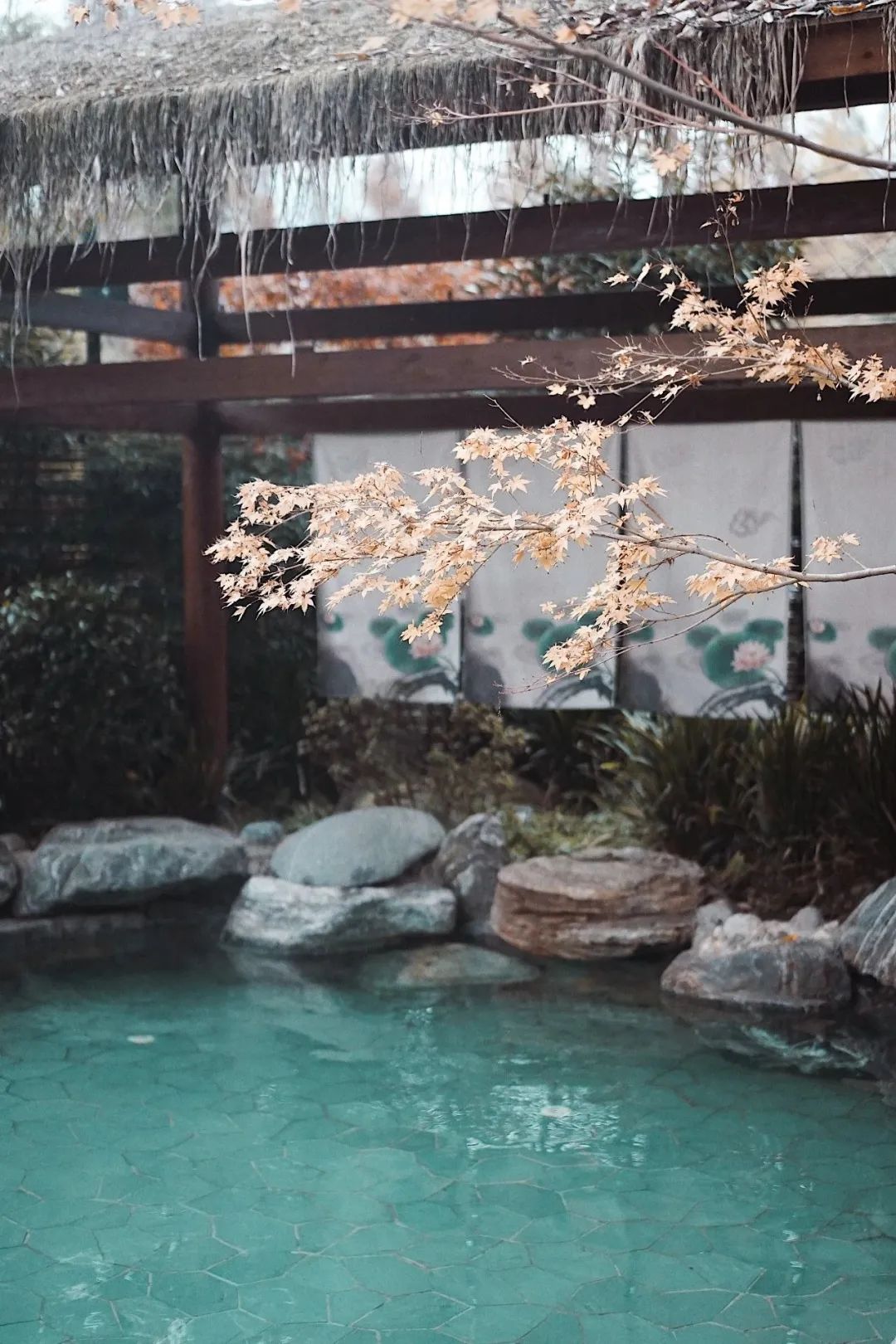 立冬气温仅13℃!快来领取都江堰专属的『入冬四件套』,品围炉暖食、享竹林温泉......成都1.5h直达~