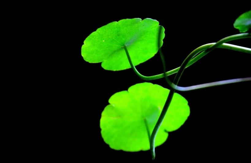 到底是糊涂还是迷途,到底什么是糊涂