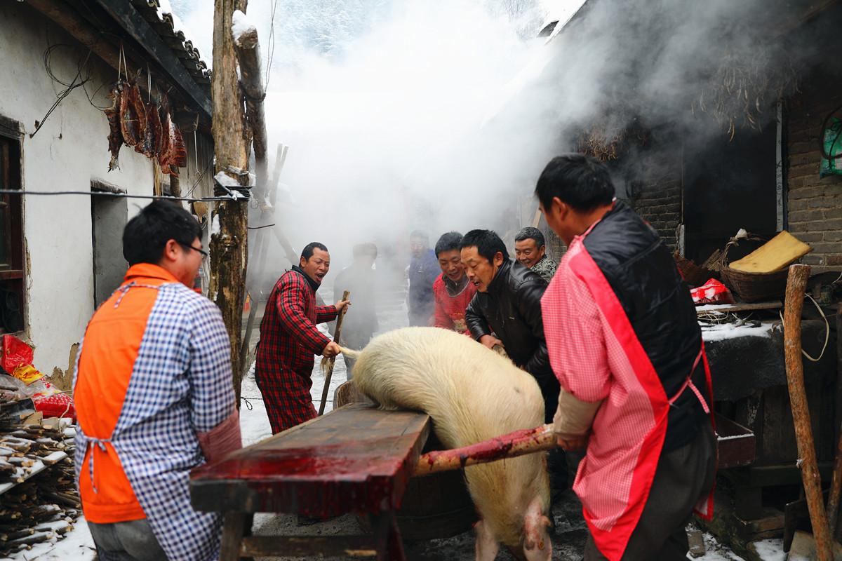 为什么要成立农业农村执法大队,临沂市农业农村执法大队最新动态