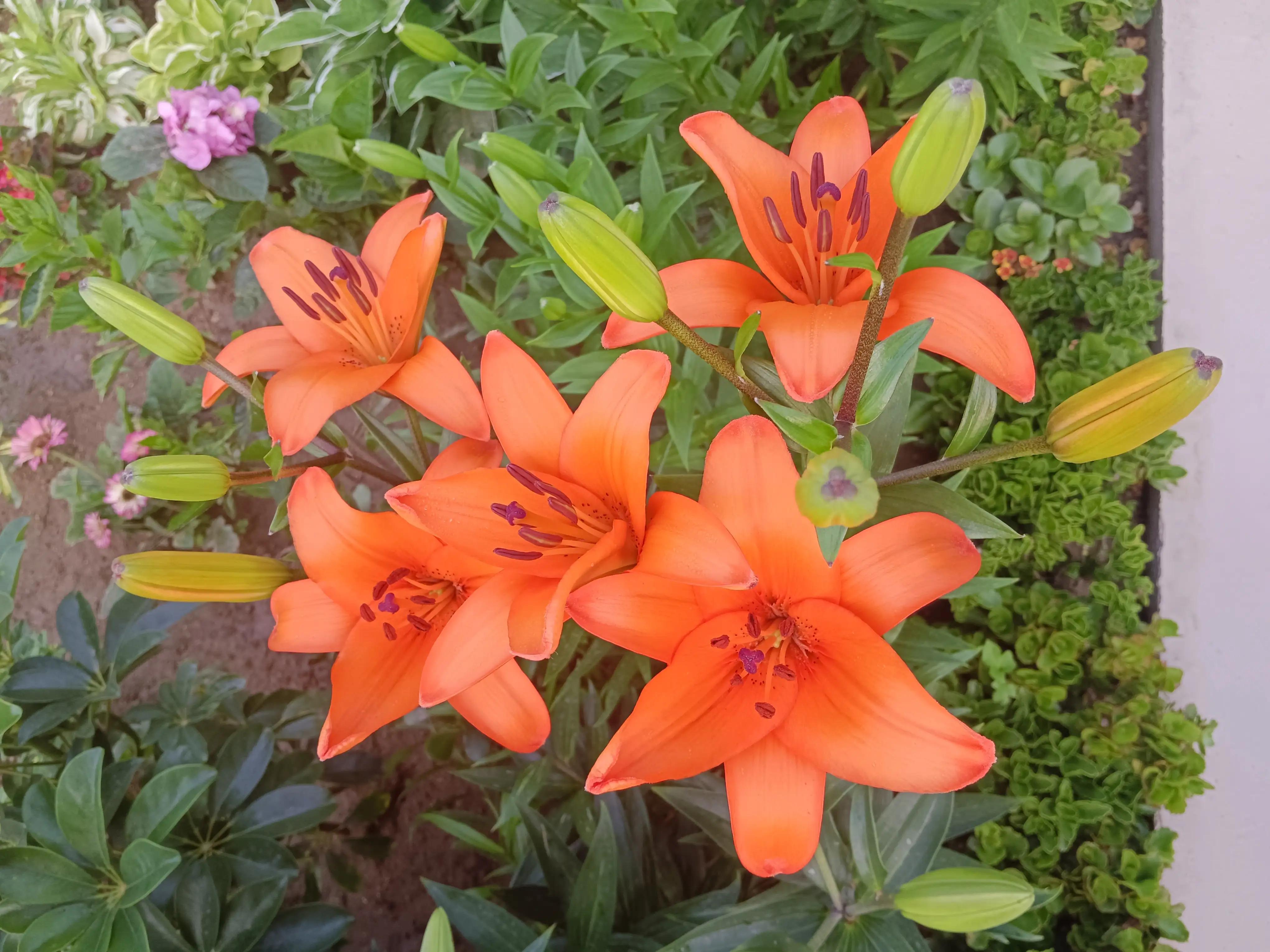 十大名楼古诗词,带有楼字的古诗词大全