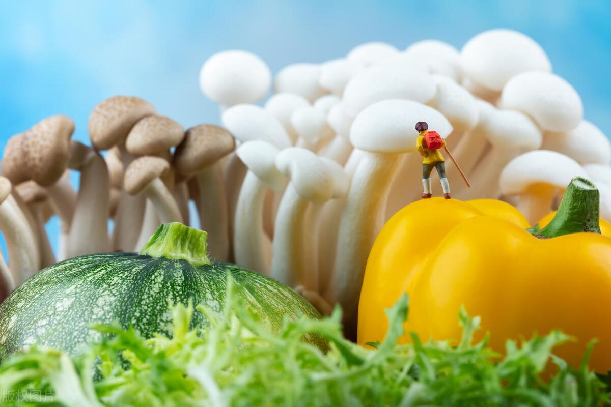 我，在上海做会计，决定回家乡种蔬菜，两年后我的收入达到了60万