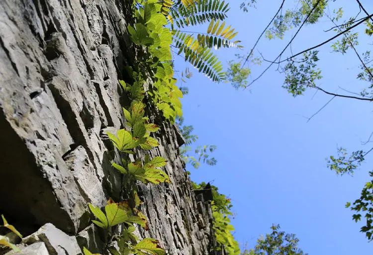 唐诗楚辞男孩名字大全集,唐诗中男孩名字大全集