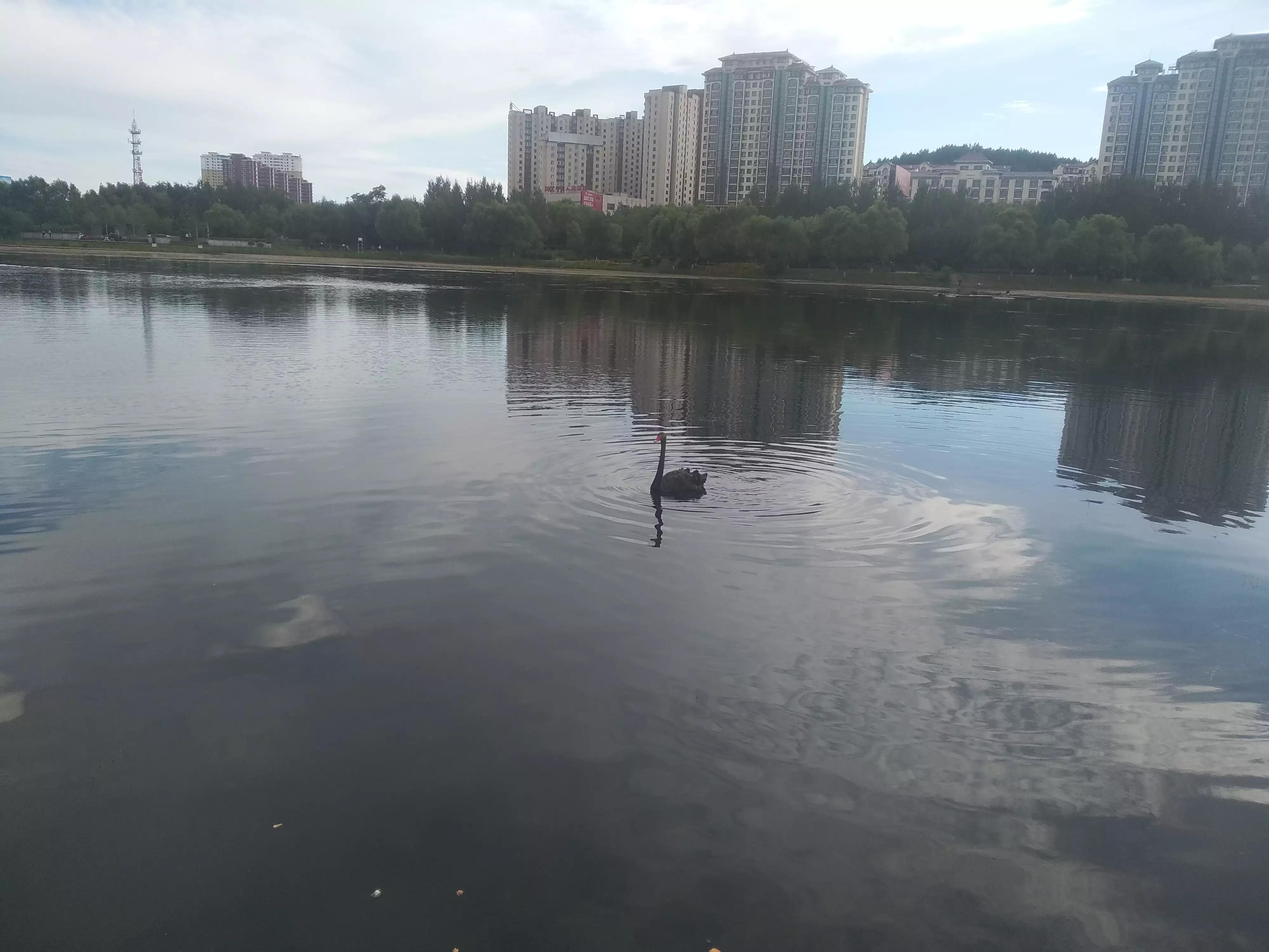 双鸭山最宜居的地方,双鸭山是中国最东北的城市