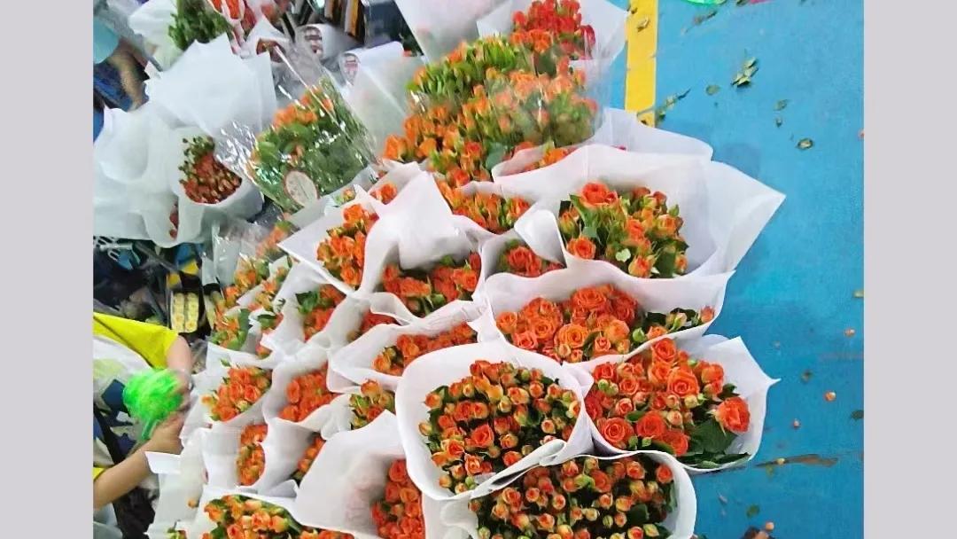 七彩云南之春城昆明,七彩云南四季春城