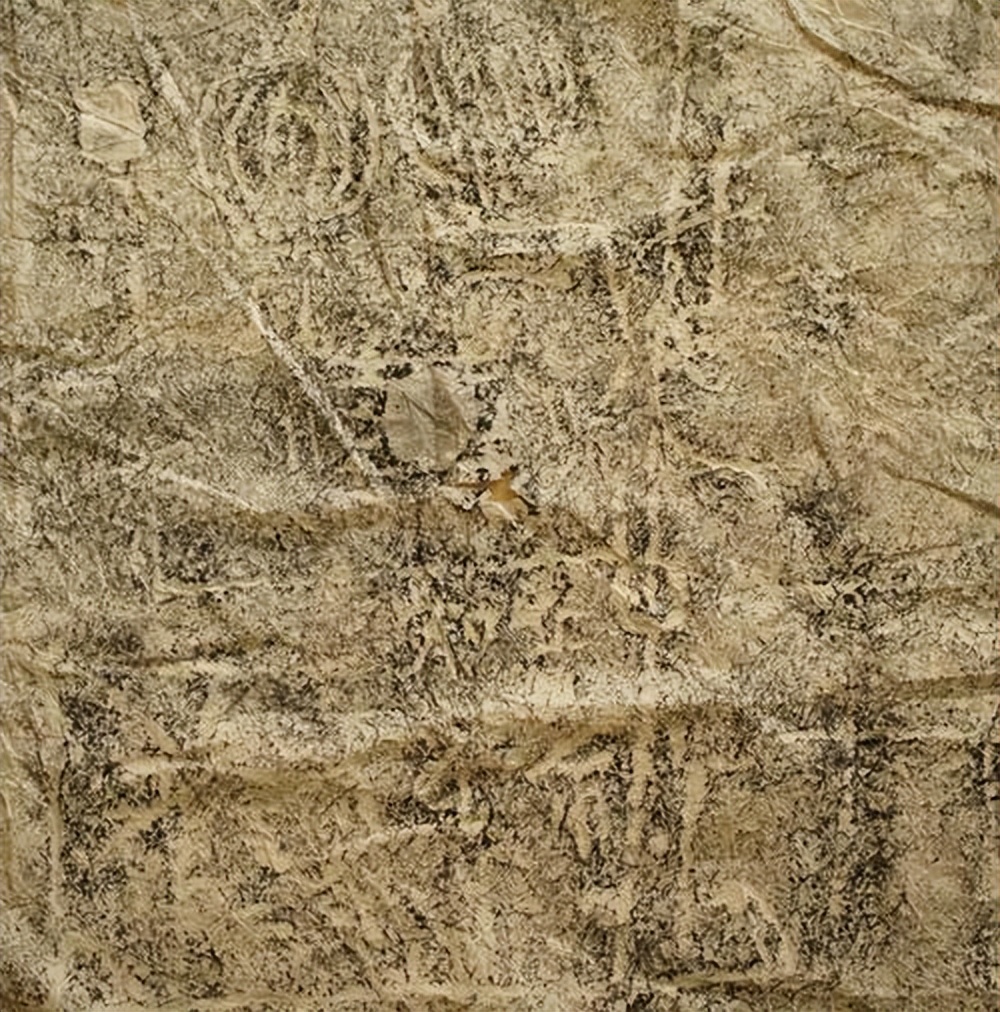 远古先民的欢歌乐舞，运用音乐图像学解读远古岩画的乐舞图象