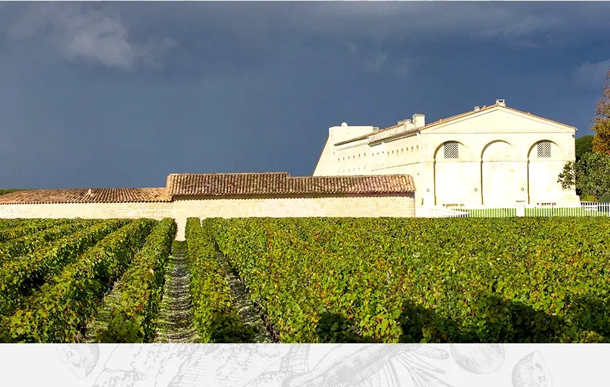 请说出5个法国葡萄酒产区名称,简述中国葡萄酒的主要产区及名品