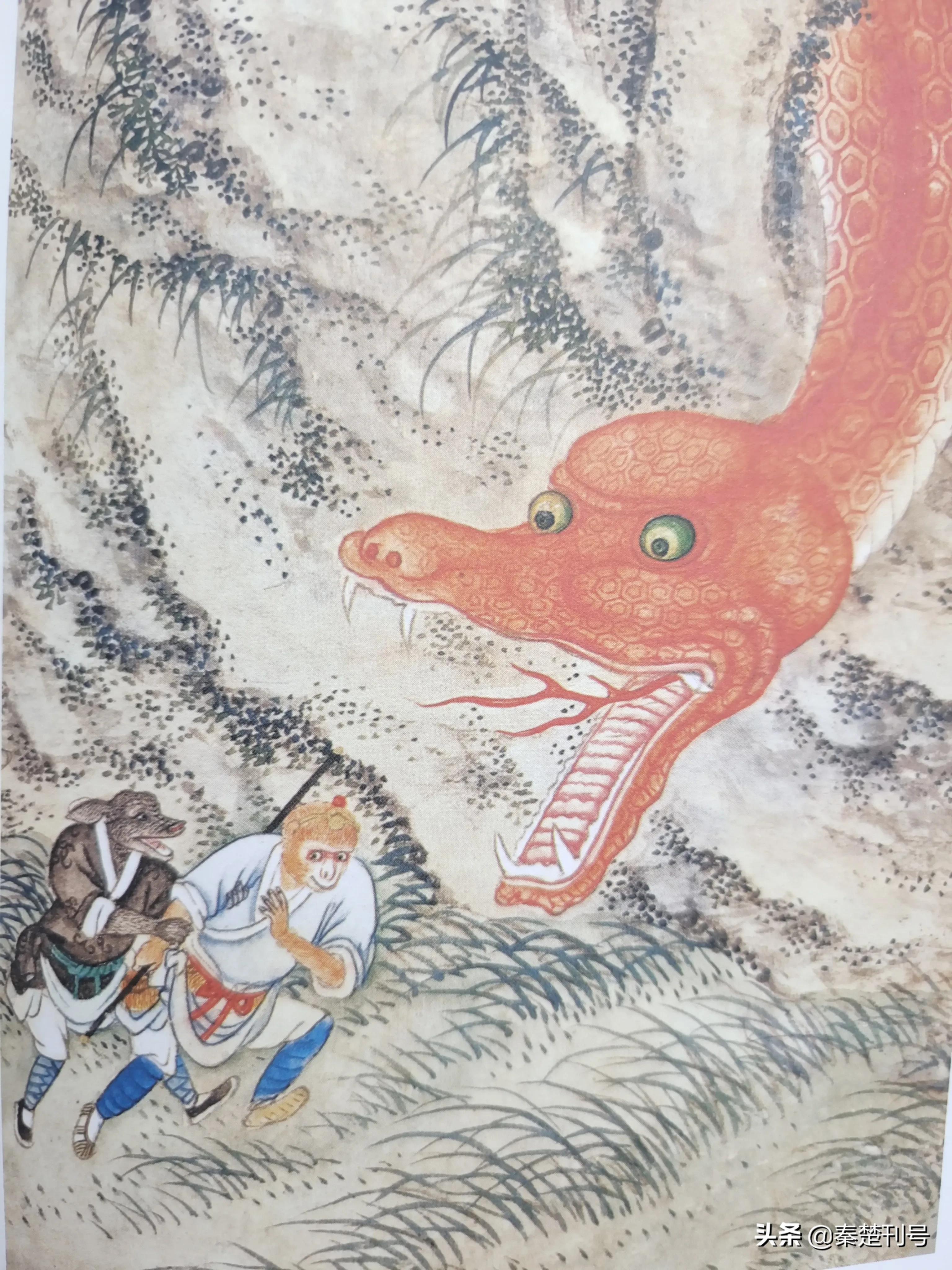 生肖蛇为什么叫小龙,生肖蛇为什么称作小龙