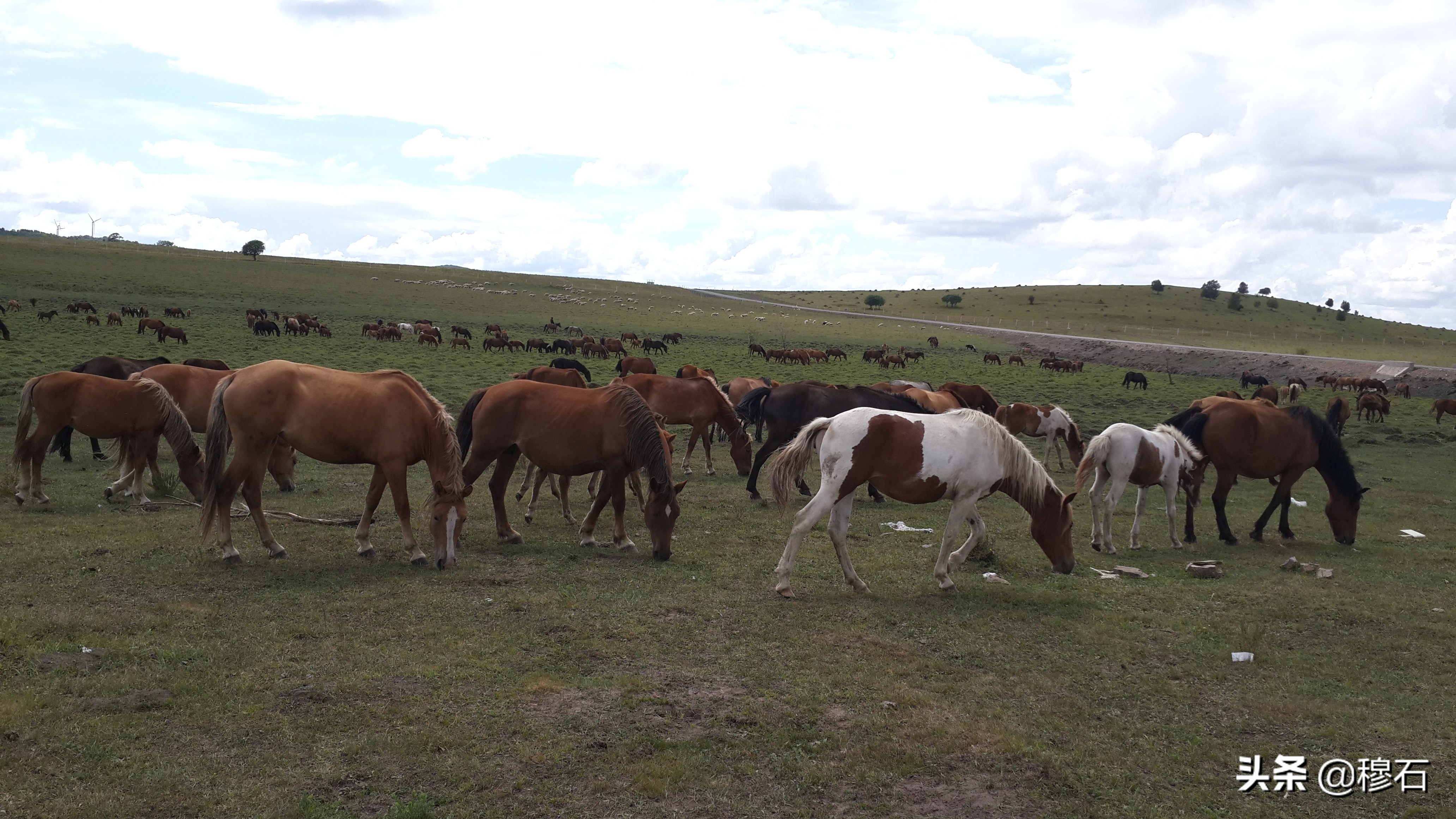 走进美丽的呼伦贝尔 (走进呼伦贝尔盟)