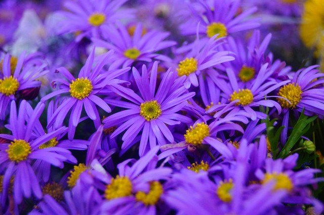 涓勾浠ュ悗濠氬Щ,涓勾濠氬Щ瀹炴儏