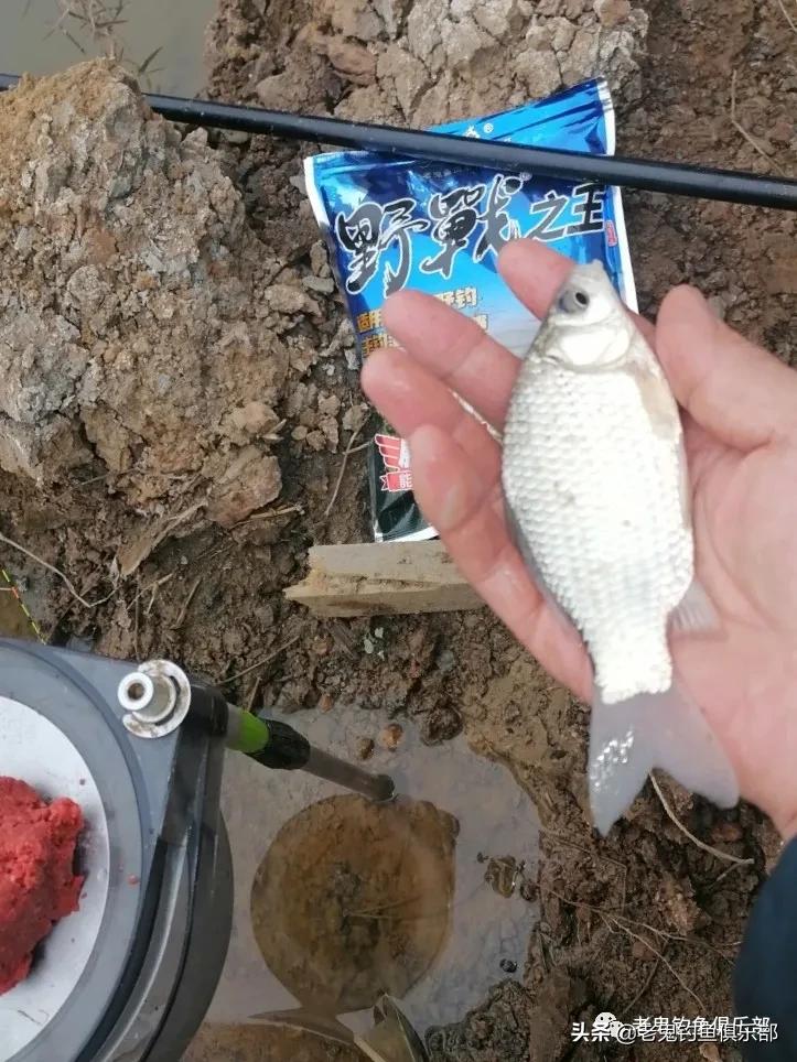 冬季小野河野钓冰钓,冬钓野河大板鲫