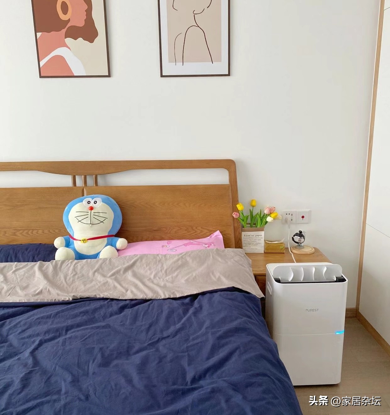 抽湿机使用好处,家里潮湿除湿器有用吗