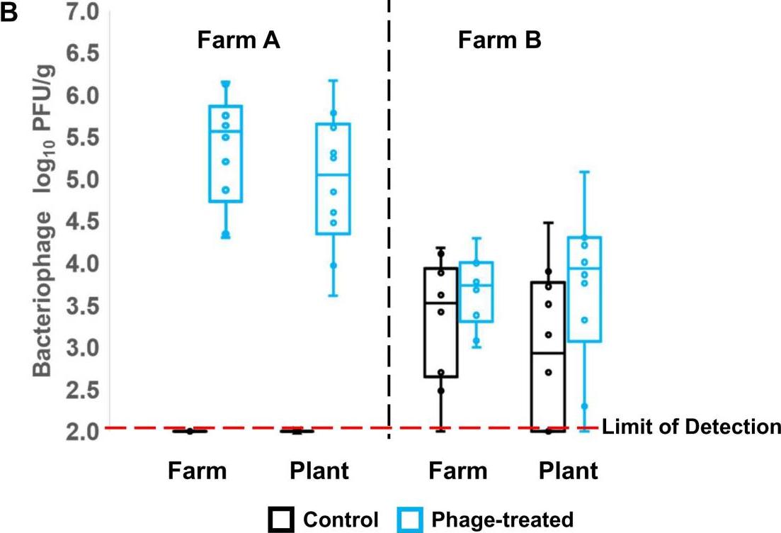 噬菌体侵染大肠杆菌实验细节,肉鸡用噬菌体