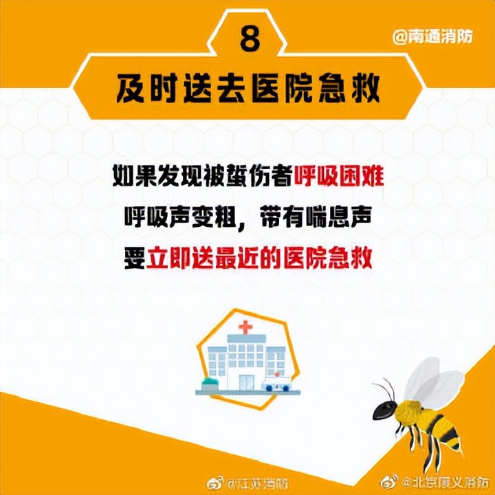 遇到马蜂袭击的视频,被马蜂袭击最快的时间