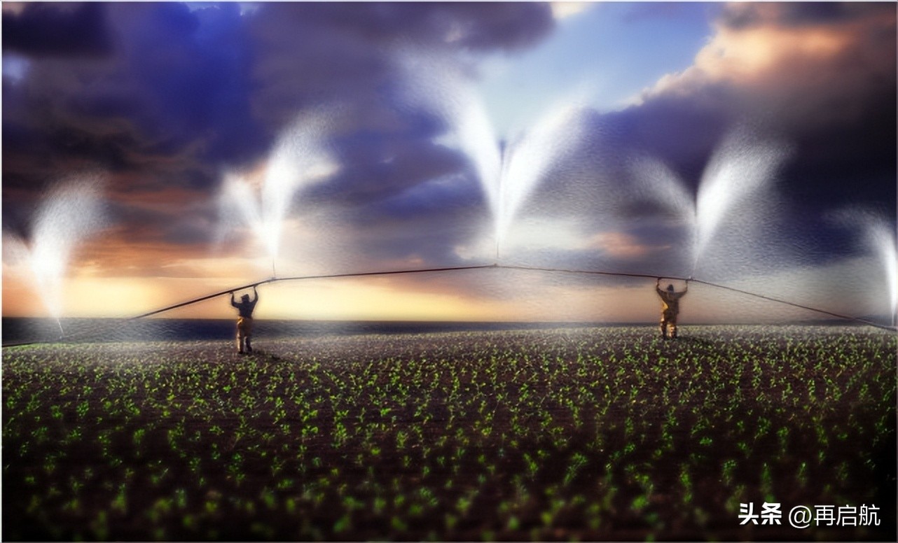 就业前景最好的高职专业排名,十大本科就业率超高的专业推荐