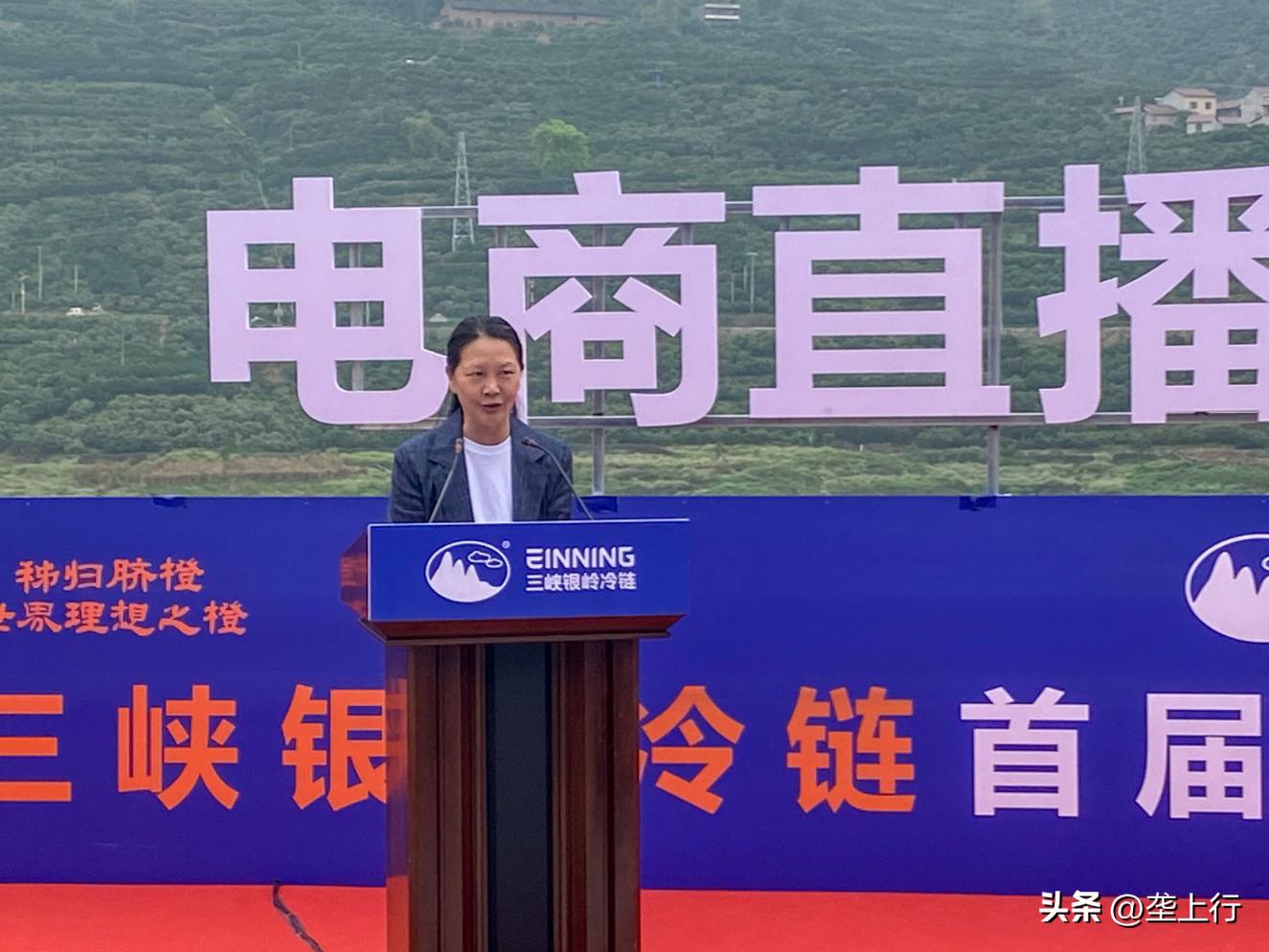 朱梓骁直播的秭归橙,朱梓骁直播助播