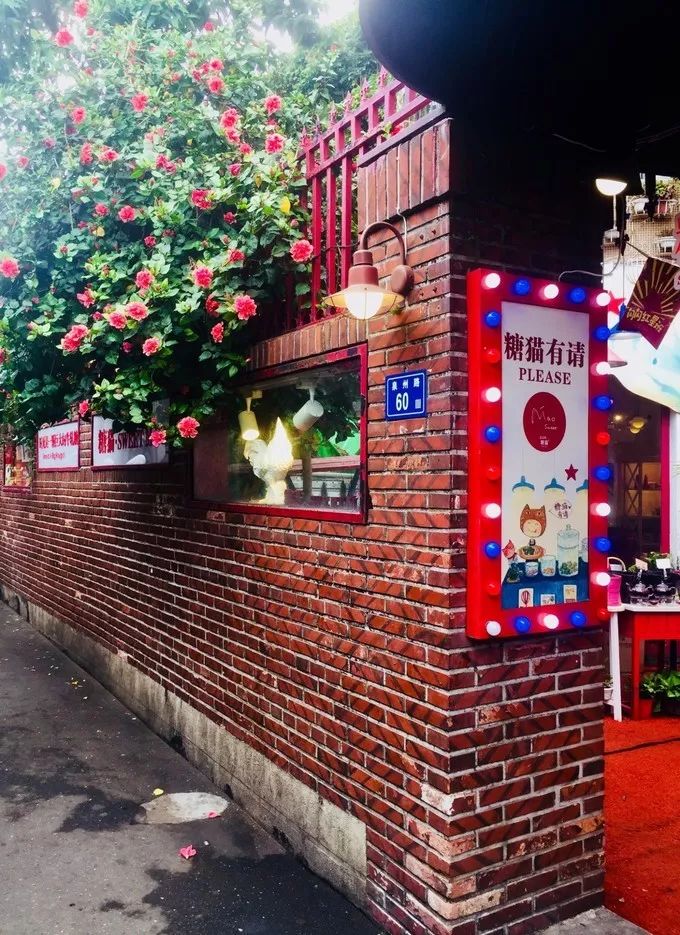 厦门带孩子去哪里玩,厦门带女朋友去哪里玩