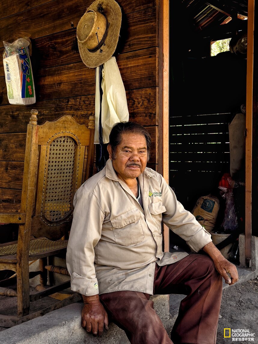 在一个小岛上种地卖菜是什么游戏,在一个岛上种地