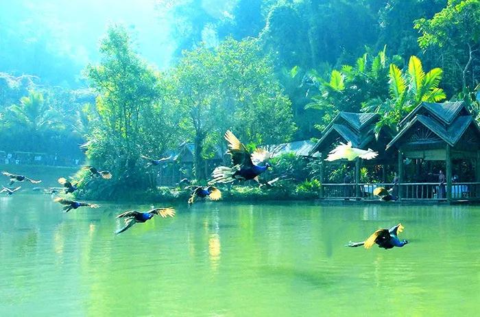 云南西双版纳旅游攻略app,云南西双版纳旅游攻略自由行12月