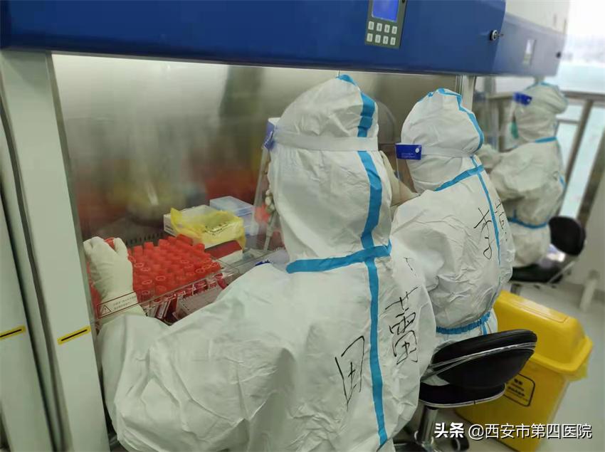 健康中国全民抗疫,秦岭四宝抗疫