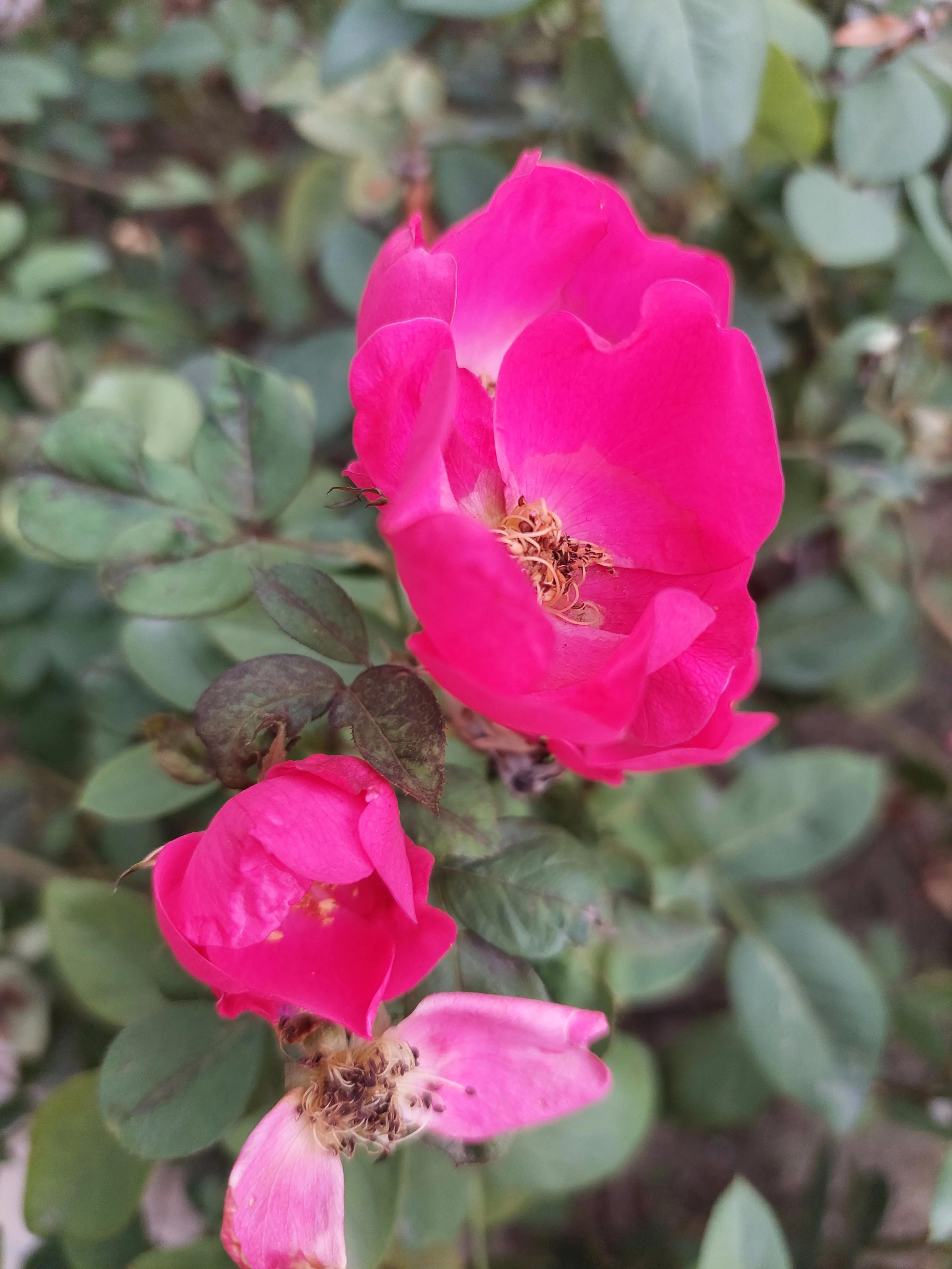 青春记忆足球,青春里的足球记忆