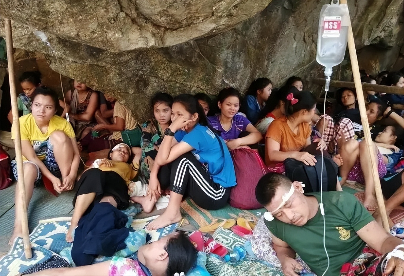 人兽真能杂交？日本批准“人兽杂交嵌合体试验”，福音还是灾难？