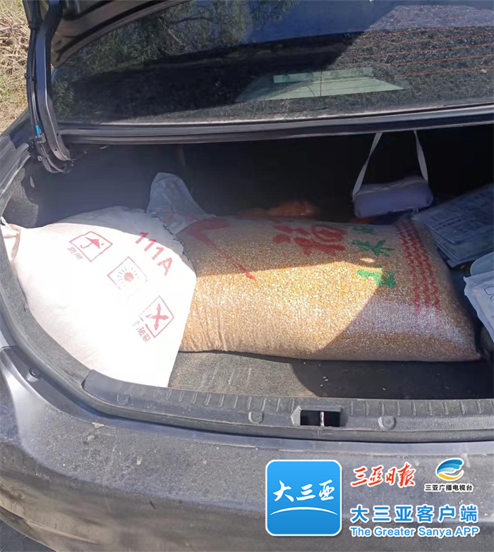 灌溉农田、代购饲料…天涯区解决封控区村民的“后顾之忧”